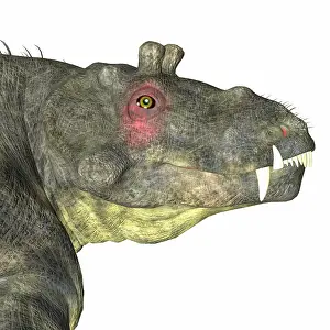 Synapsid: Estemmenosuchus dinosaur head