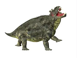 Synapsid: Estemmenosuchus dinosaur, side profile
