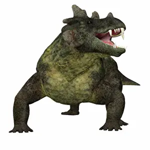 Synapsid: Estemmenosuchus dinosaur, front view