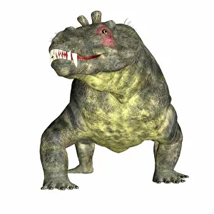 Synapsid: Estemmenosuchus dinosaur, front view