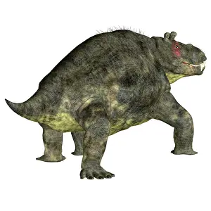 Synapsid: Estemmenosuchus dinosaur on white background
