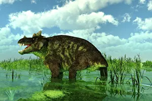 Crowned: Estemmenosuchus uralensis in swamp