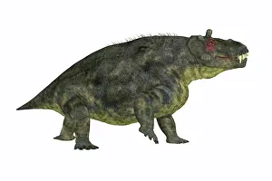Synapsid: Estemmenosuchus uralensis, side view on white background