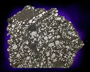 Stony Iron: Estherville Meteorite