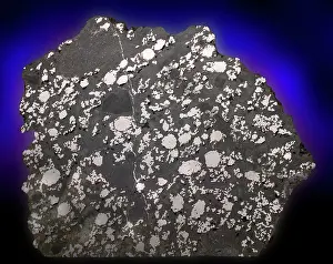 Stony Iron: Estherville Meteorite