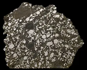 Stony Iron: Estherville Meterorite
