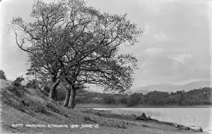 Hawkshead: Esthwaite Lake in Hawkshead