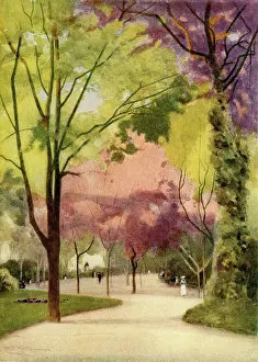 Lisbon: The Estrella Gardens