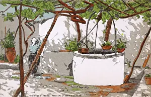 Grapevine: A well at Estremoz, Portugal