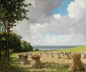 Estuary: The Estuary of the Shannon