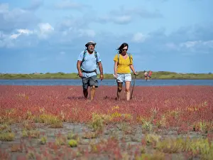 Etangs: Etangs et Marais des Salins de Camargue, Provence, France