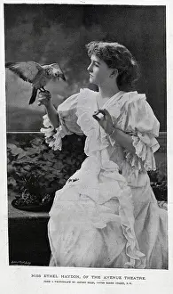 Ruffled: Ethel Haydon, actress