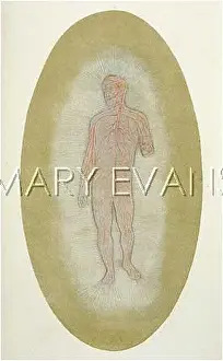 Astral: Etheric double or astral self in a normal state