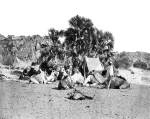 C1857: Ethiopia, an encampment c1857