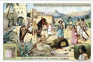 Ethiopians: ETHIOPIANS KILL LION