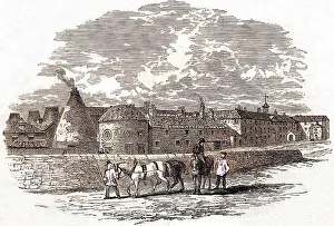 Etruria - Wedgwood