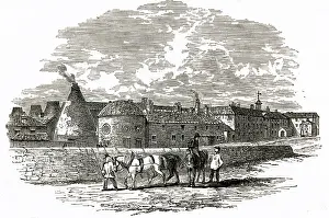 Wedgwood: Etruria - Wedgwood