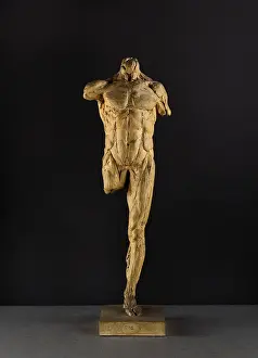 Drove: Etude d'ecorche