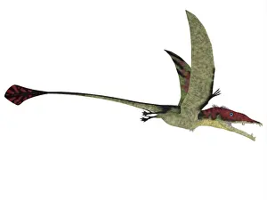 Crowing: Eudimorphodon is a flying reptile that lived during the ?