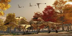 Bauri: Three Eudimorphodons fly above a group of Coelophysis in an