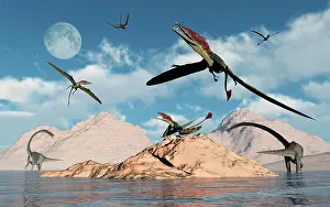 Eudimorphodon: Eudimorphodons from the Triassic Period of Earth