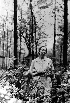 Eudora: Eudora Welty, 1970. ?