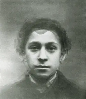 Inheritance: Eugenics, Jewish Composite