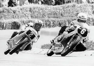 Bartol: Eugenio Lazzarini and Harald Bartol