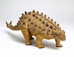 Scolosaurus: Euoplocephalus