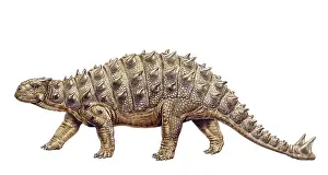 Scolosaurus: Euoplocephalus