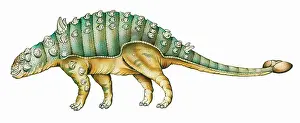 Scolosaurus: Euoplocephalus