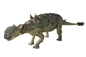 Scolosaurus: Euoplocephalus