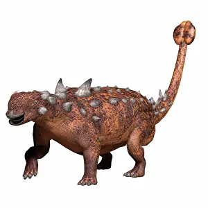 Thyreophora: Euoplocephalus armored dinosaur, side view on