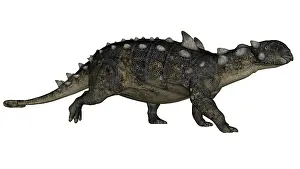 Euoplocephalus: Euoplocephalus dinosaur
