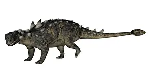 Euoplocephalus: Euoplocephalus dinosaur