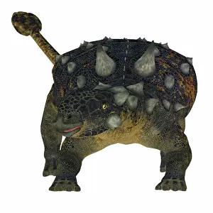 Thagomizer: Euoplocephalus dinosaur, front view