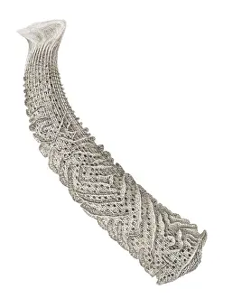 Sponge: Euplectella aspergillum, glass sponge