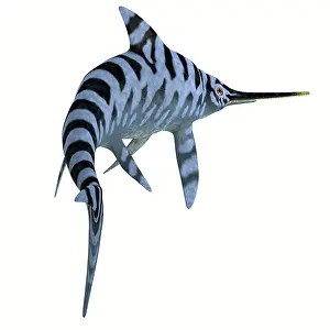 Ichthyosaur: Eurhinosaurus reptile, rear view