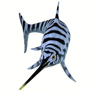 Ichthyosaur: Eurhinosaurus reptile, front view