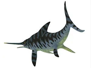 Ichthyosaur: Eurhinosaurus reptile, side view