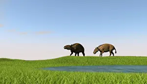 Eurohippus: Eurohippus grazing along a swamp