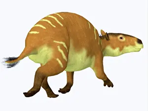 Pony: Eurohippus horse