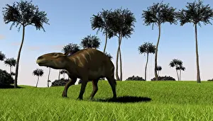 Eurohippus: A Eurohippus walking across a grassy field