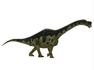 Europasaurus: Europasaurus dinosaur, side profile