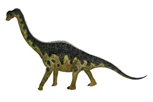 Genus: Europasaurus dinosaur walking