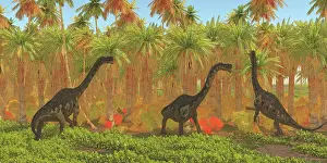 Lush: Europasaurus dinosaurs grazing
