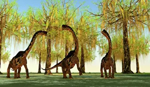 Limbs: Europasaurus dinosaurs grazing on moss covered trees