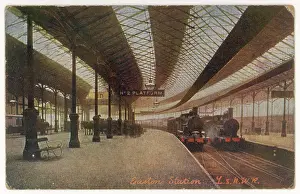 Euston: Euston Platform - Trains