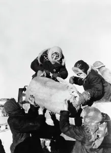 Arrangements: Evacuation of the Demyansk Pocket, 1943