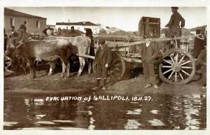 Evacuating: The Evacuation Of Gallipoli - November 1922